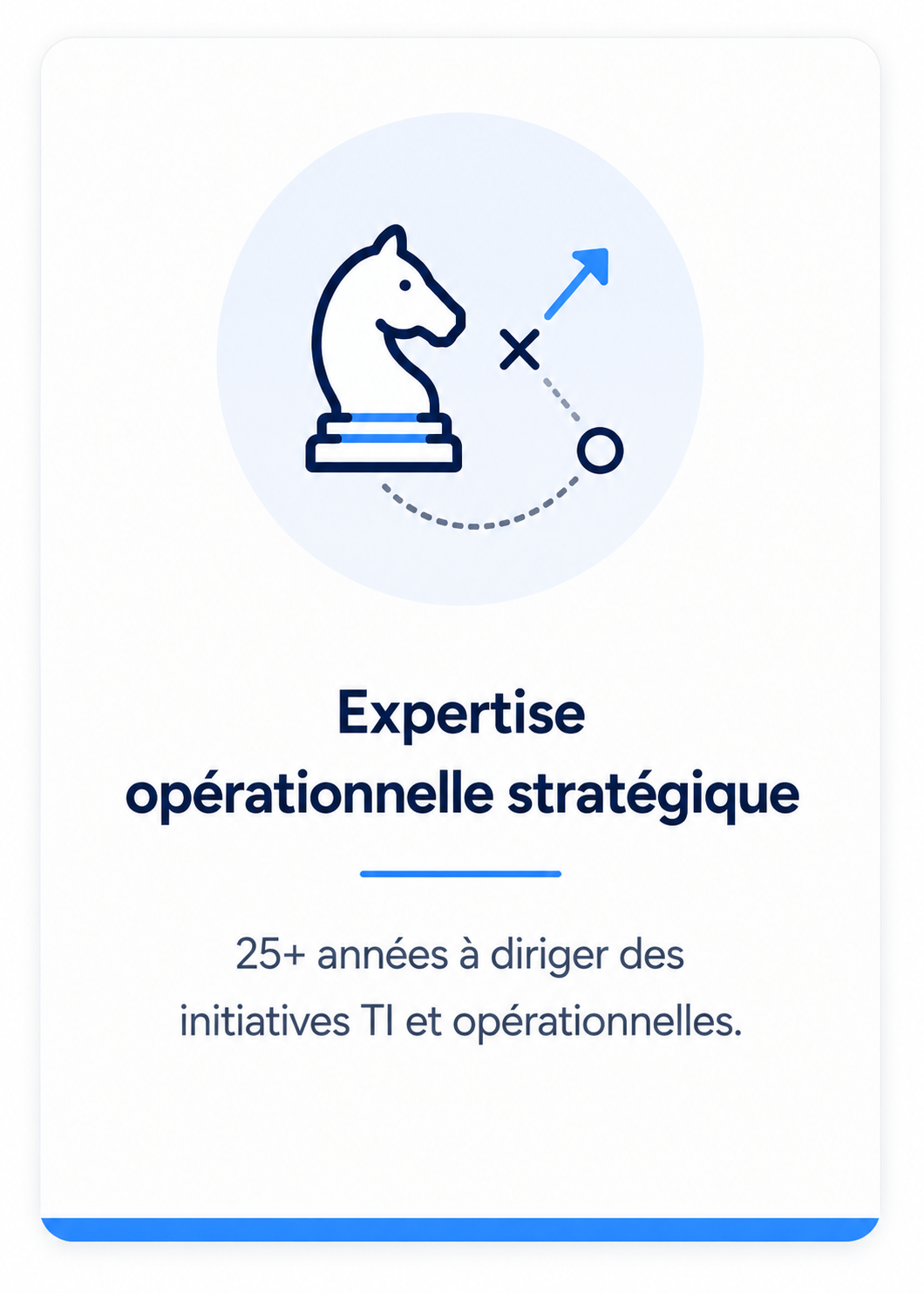 Expertise opérationnelle stratégique
